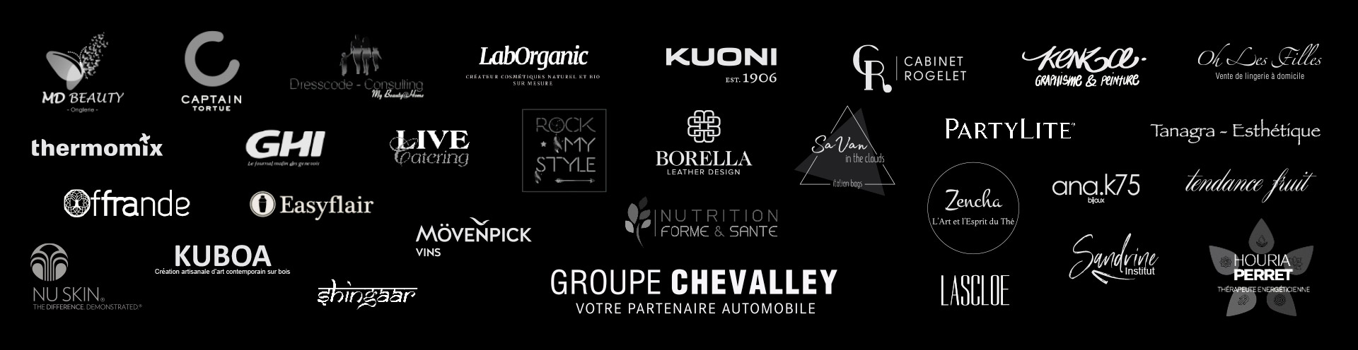 Logo partenaires Journée Filles - Groupe Chevalley 2019