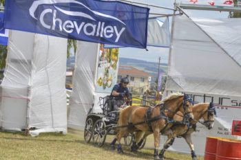 Concours d’attelage de Signy.
