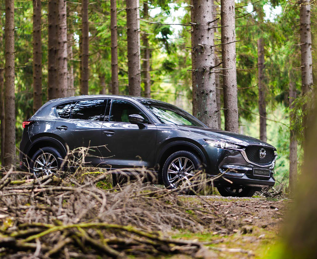Services, Accessoires & Check-up Mazda