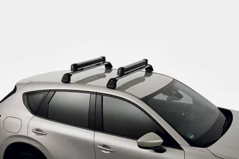 portes-skis-large Porte-skis / snowboard Thule Version large